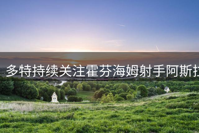 多特持续关注霍芬海姆射手阿斯拉尼 锋线引援计划加速推进