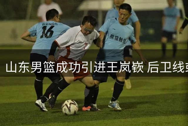 山东男篮成功引进王岚嵚 后卫线或将面临调整